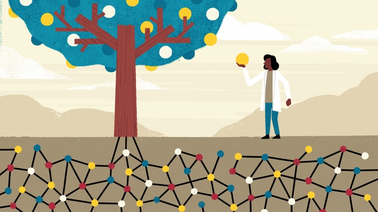 an illustration shows lines feeding up into a tree and a doctor picking a ball off the tree