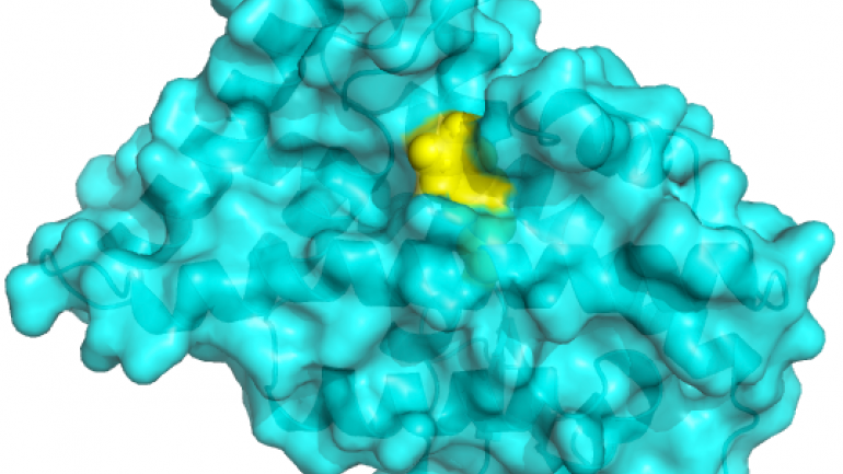 Computer image of molecule with drug target shown in yellow. 