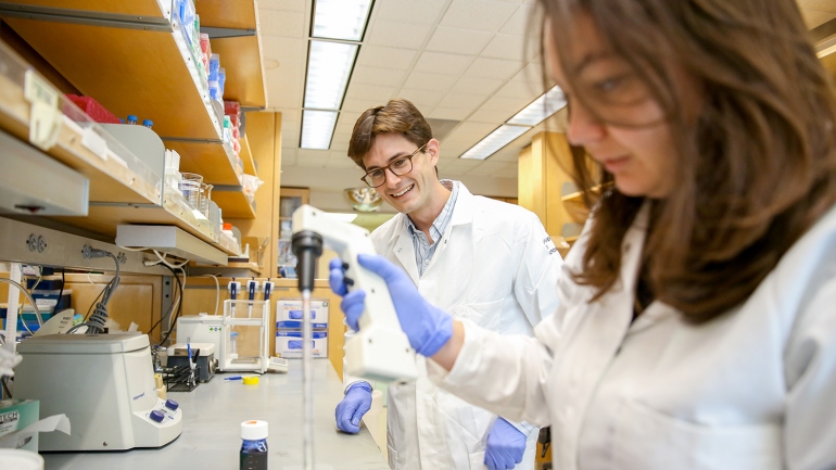 Matthew Spitzer works in his lab with Iliana Tenvvoren