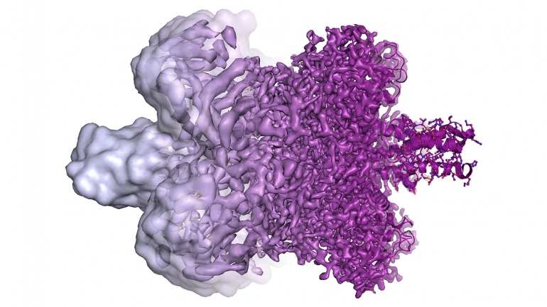 an illustration shows the differences in cryo-EM resolution between 2013 and now