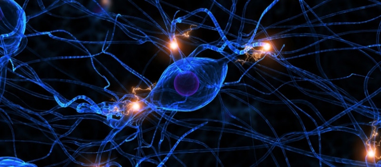 stock illustration of a brain neuron