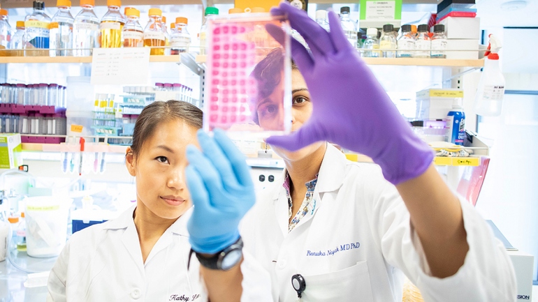 Kathy Lam works in the lab with Renuka Nayak