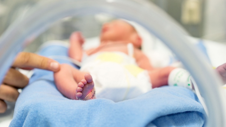 stock image of a person touching a premature baby in an incubator