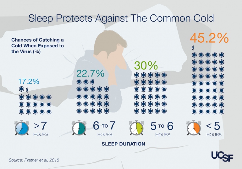 An illustration showing the correlation between sleep duration and chances of catching a cold when expose tho the virus. Sleeping more than 7 hours a day corresponds to 17.2% chance of catching a cold when exposed. Sleeping 6 - 7 hours a day corresponds to 22.7% chance. Sleeping more 5 - 6 hours a day corresponds to 30% chance. Sleeping more less than 5 hours a day corresponds to 45.2% chance. Source: Prather et al, 2015