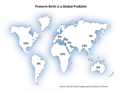 global map showing preterm birth rates