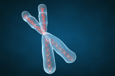 Stock image of DNA