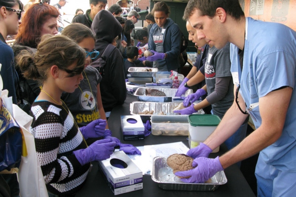 A guided tour of human organs in the Giants dugout, led by UCSF medical and graduate students, included a hands-on view of a brain.
