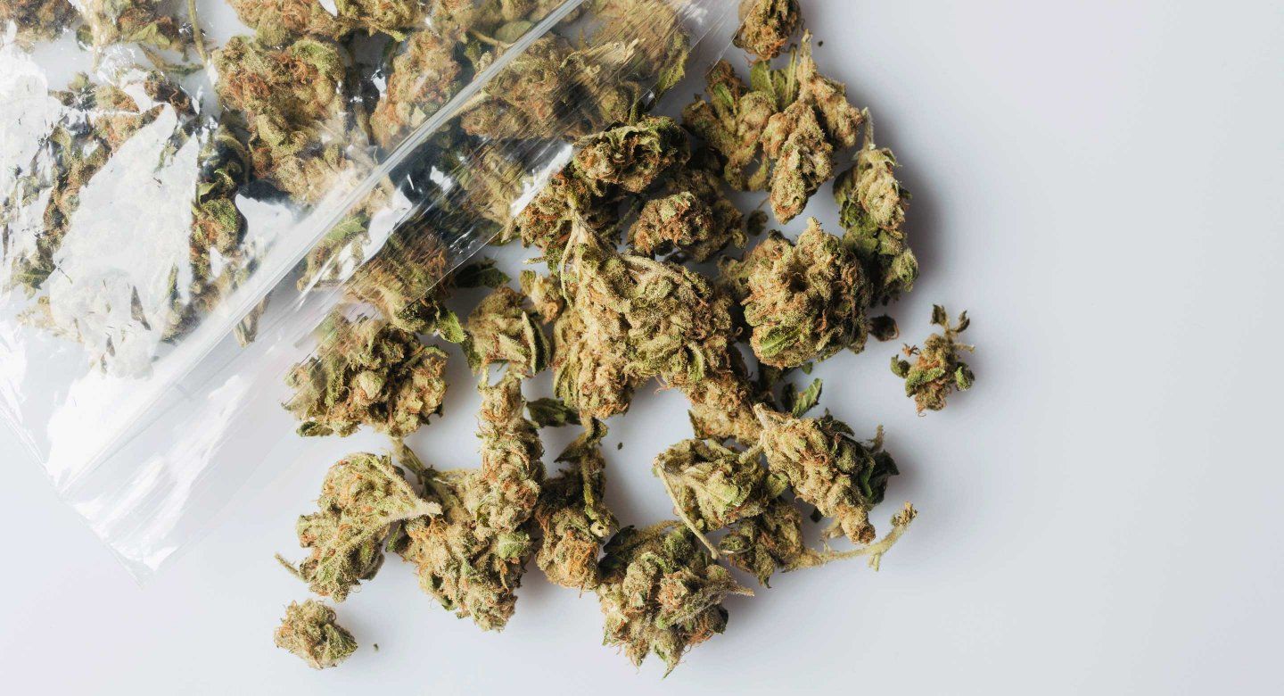 Marijuana buds spilling out of plastic bag. 