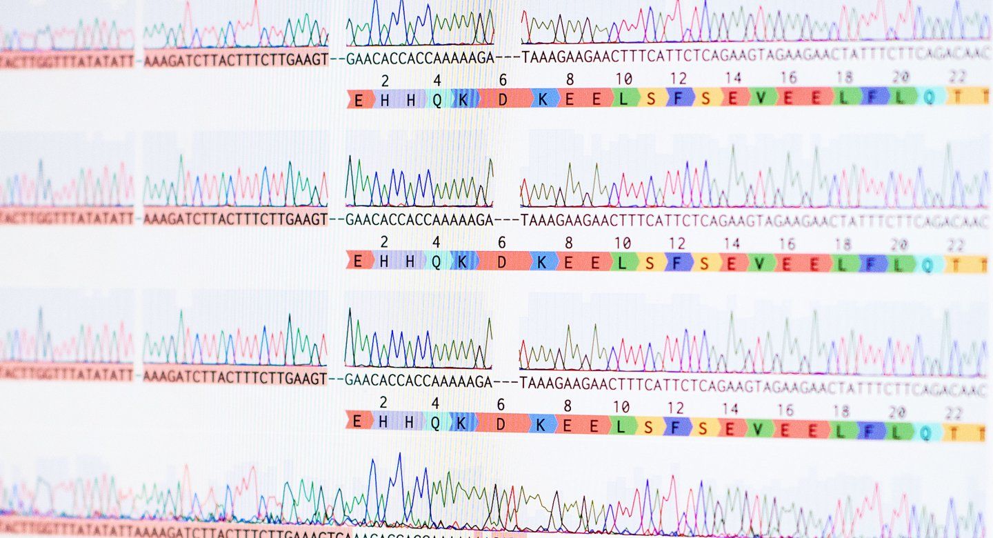 genetic test results on a computer screen