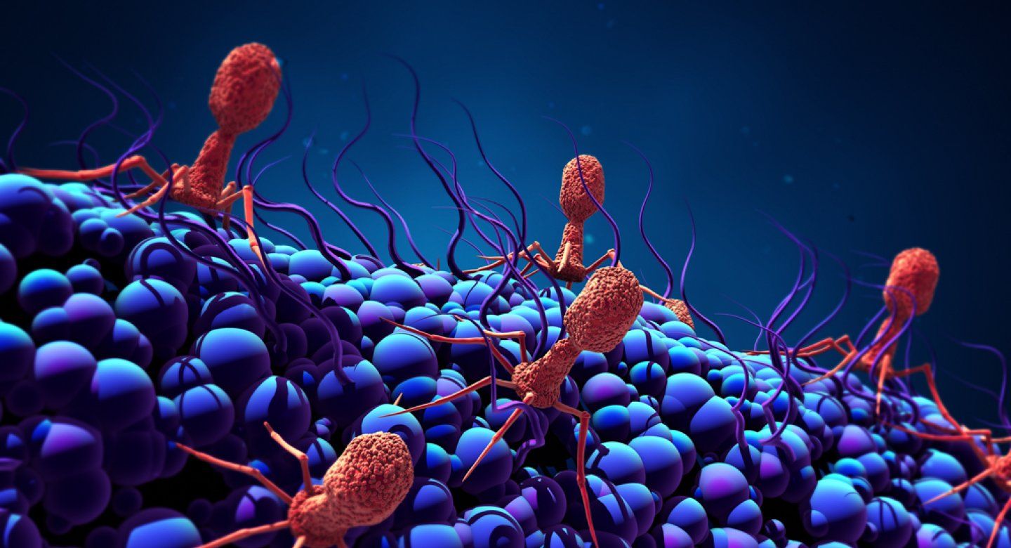 phages illustration