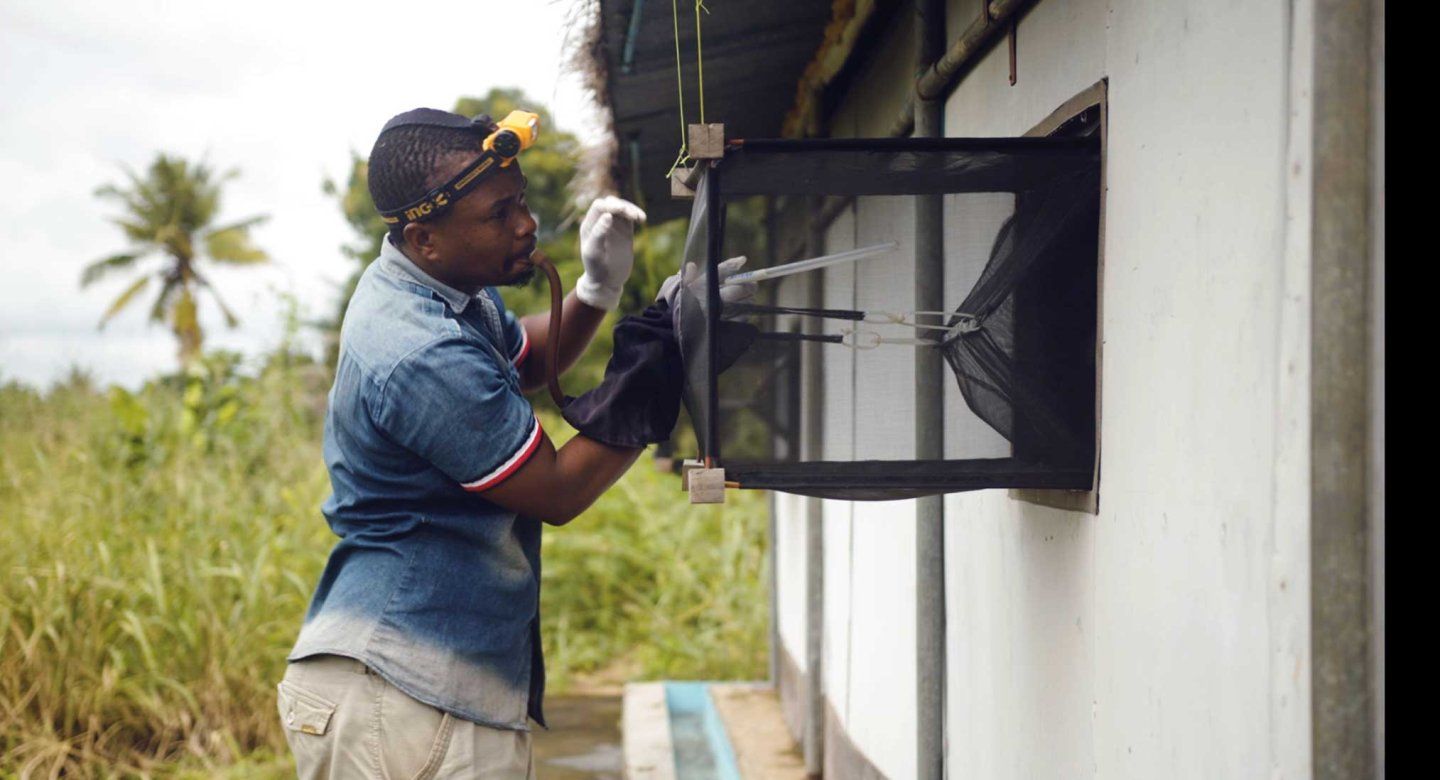 A man wearing a headlamp and gloves works with a mosquito net trap attached to a building window.