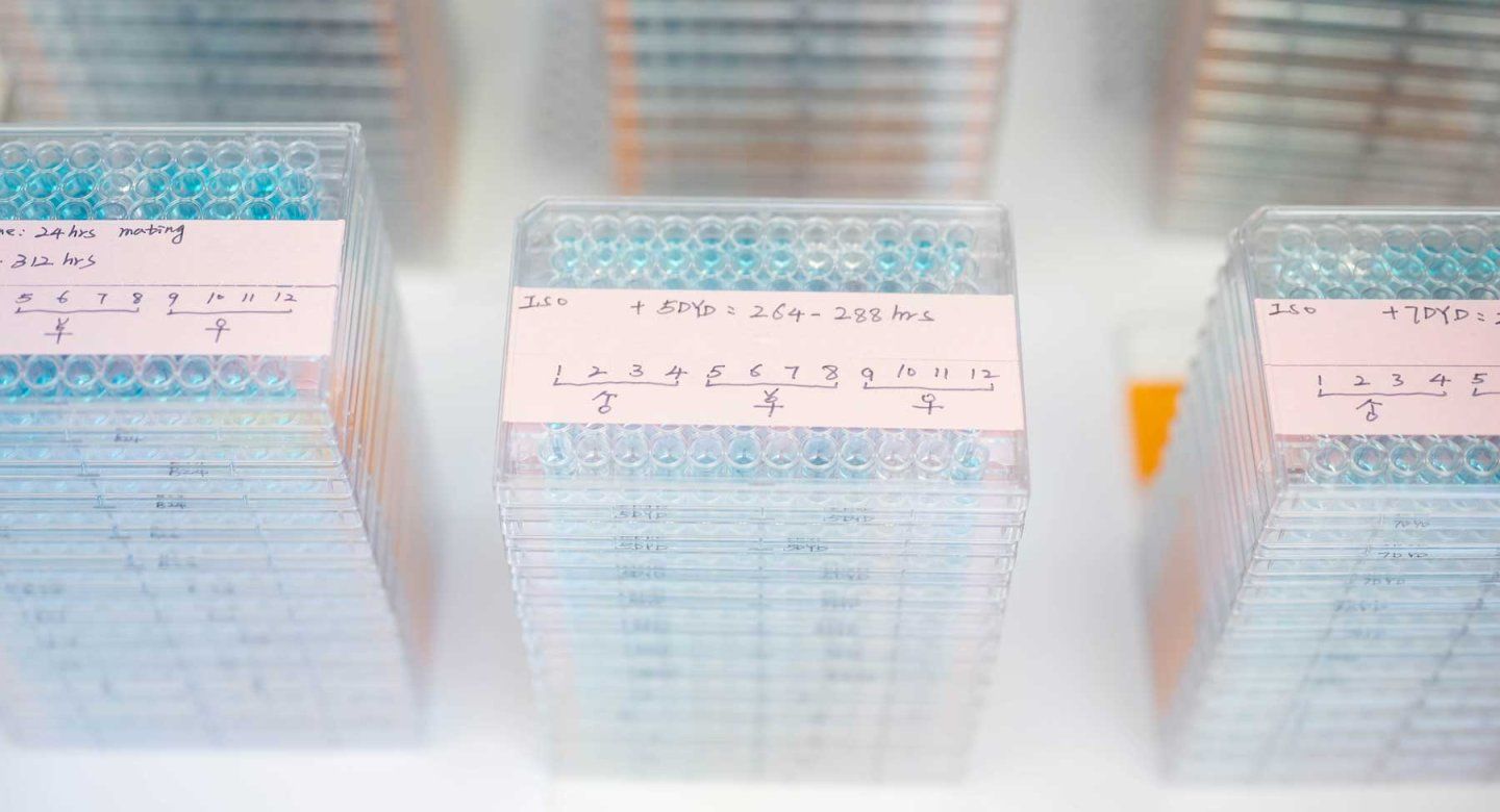 Well plates in a laboratory with genetic information.