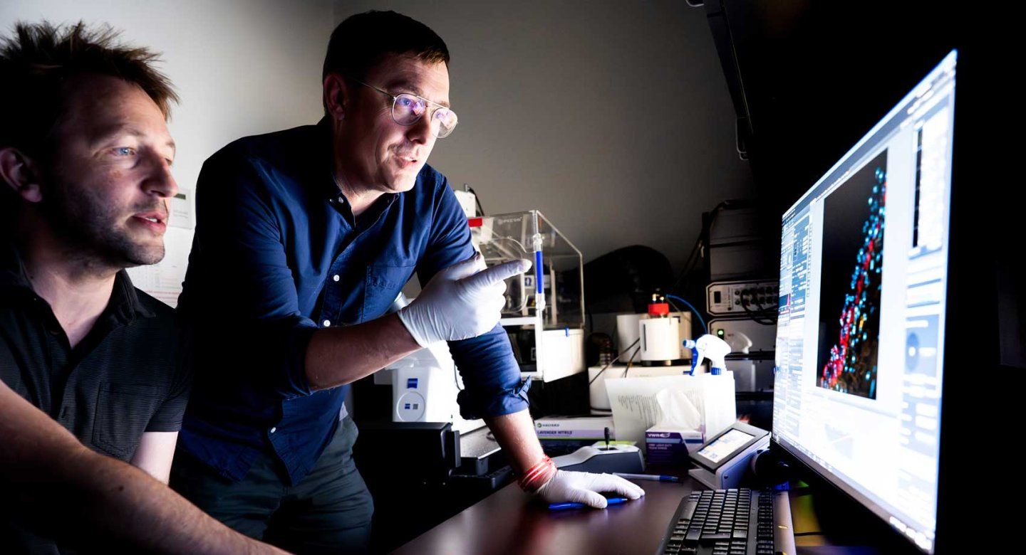 Professor Jeffrey Bush and specialist Ace Lewis look at microscopic images on a computer in a lab.