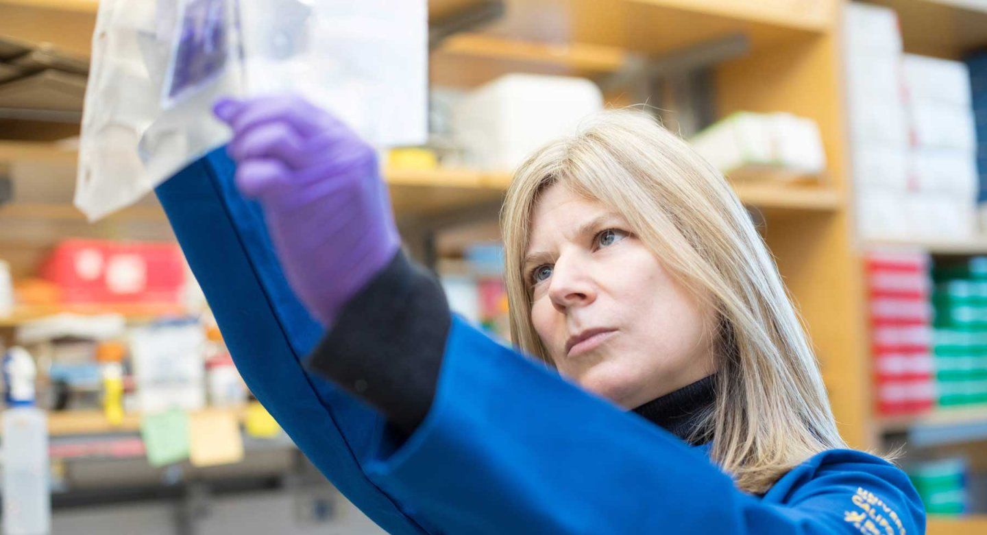 Researcher Tanja Kortemme wears a blue lab coat and purple latex gloves as she examines equipment in her lab.