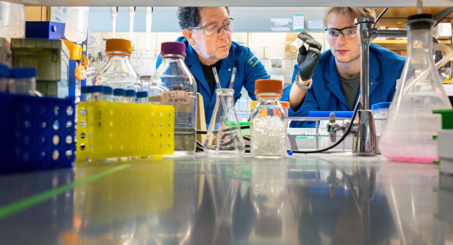 Kevan Shokat and graduate student Hunter Carrell wear blue lab coats and protective goggles as they work at a lab bench.