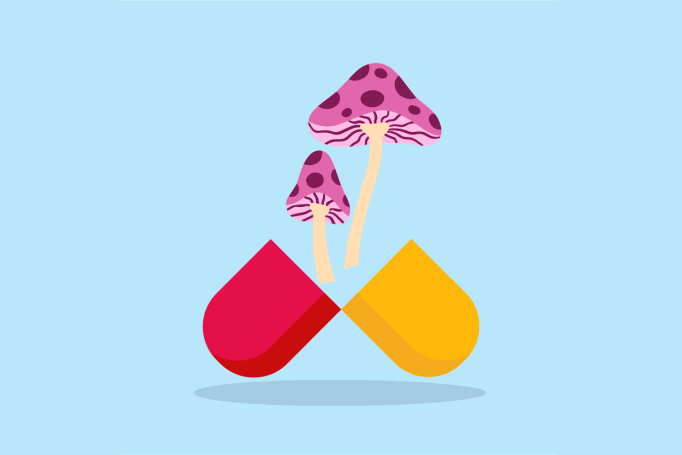 An illustration of two pink mushrooms with purple spots growing out of an open red and yellow medicinal capsule against a light blue background, representing using psychedelics as antidepressants.