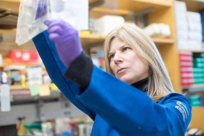 Researcher Tanja Kortemme wears a blue lab coat and purple latex gloves as she examines equipment in her lab.