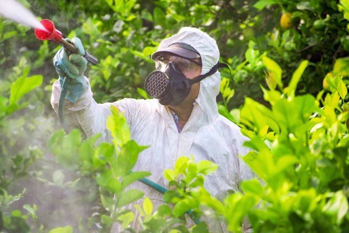 A person in protective gear sprays insecticide over plants.