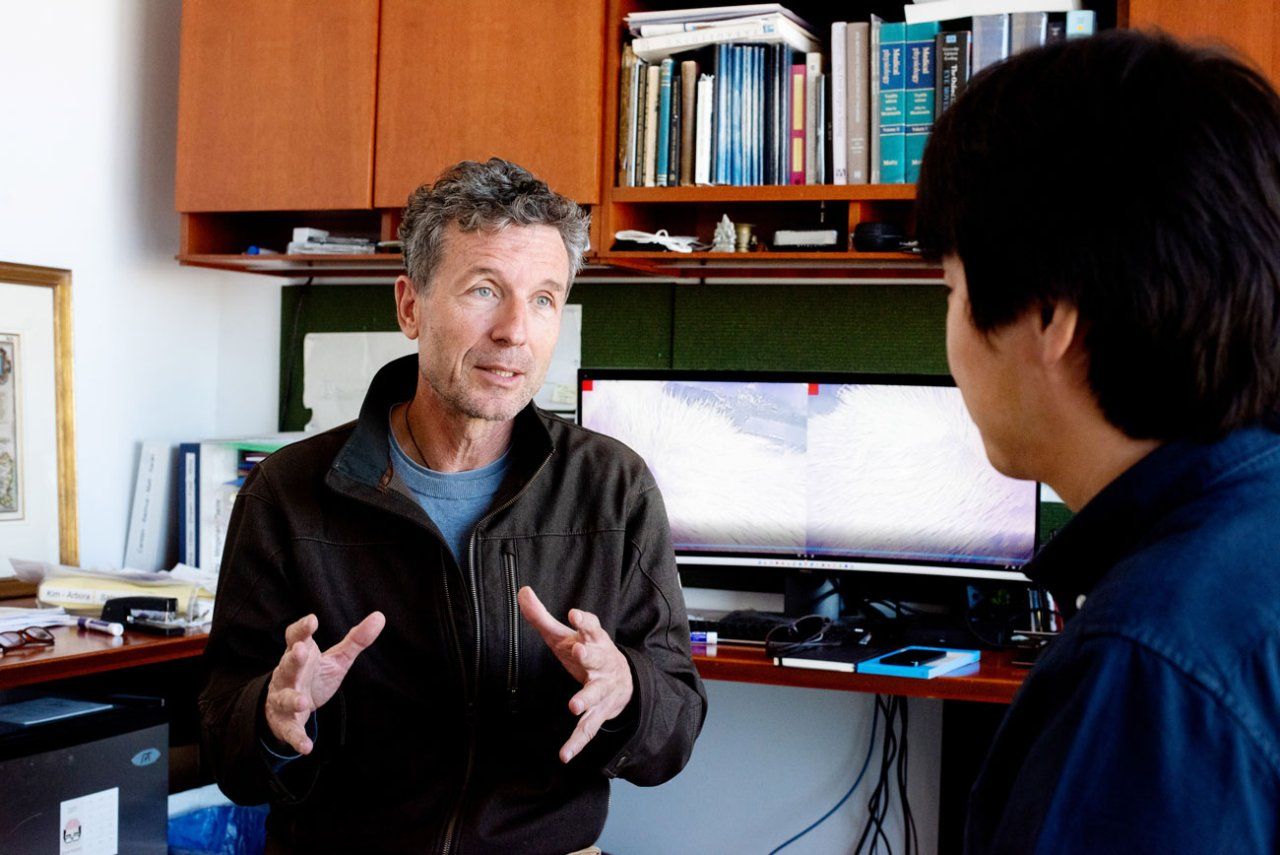 Massimo Scanziani (left) and Yuta Senzai (right) discuss their research in an office. On a screen behind them are images showing eye movements of a sleeping mouse.