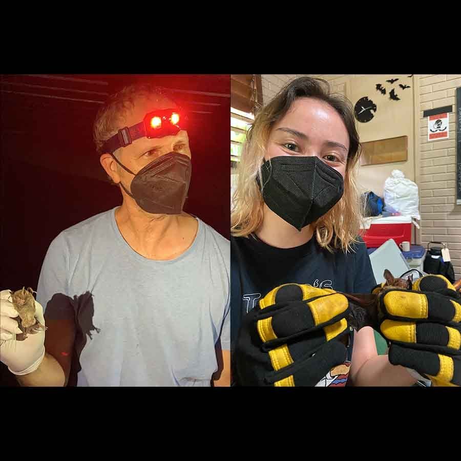Nadav Ahituv and Wei Gordon wear facemasks as they hold fruit bats they are studying for their research.