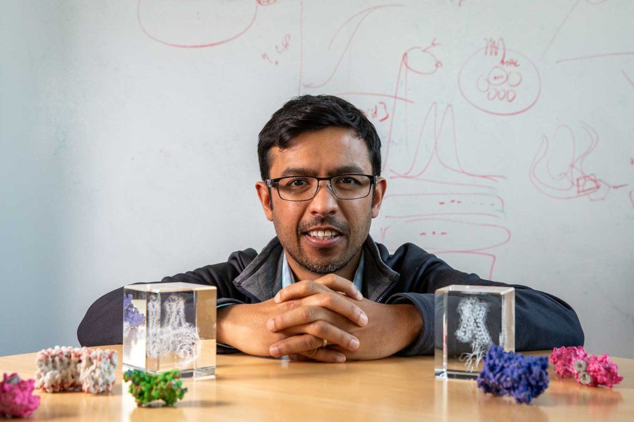 Aashish Manglik folds his hands over a table where there are several models of G-protein-coupled receptors (GPCRs). In the background is a large whiteboard with scientific calculations.