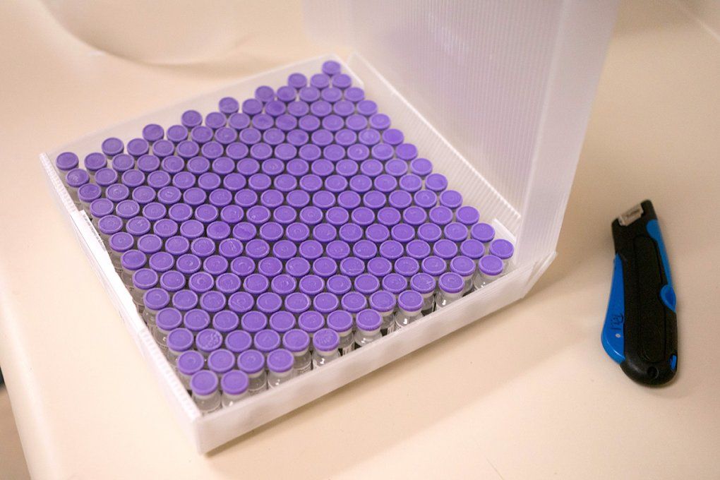 A square containing many vials of the Pfizer COVID-19 vaccine