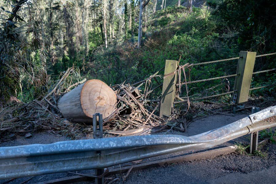 A fallen tree that has been cut. A steel guard rail is dented where the tree fell on it during a strong storm.