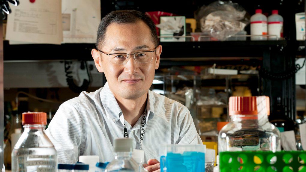 Shinya Yamanaka Wins 2012 Nobel Prize in Medicine | UC San Francisco