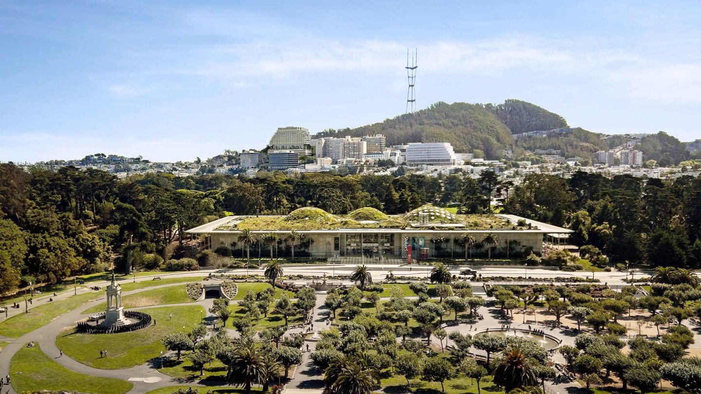 The new Parnassus Heights hospital can be seen on the hillside above Golden Gate Park.
