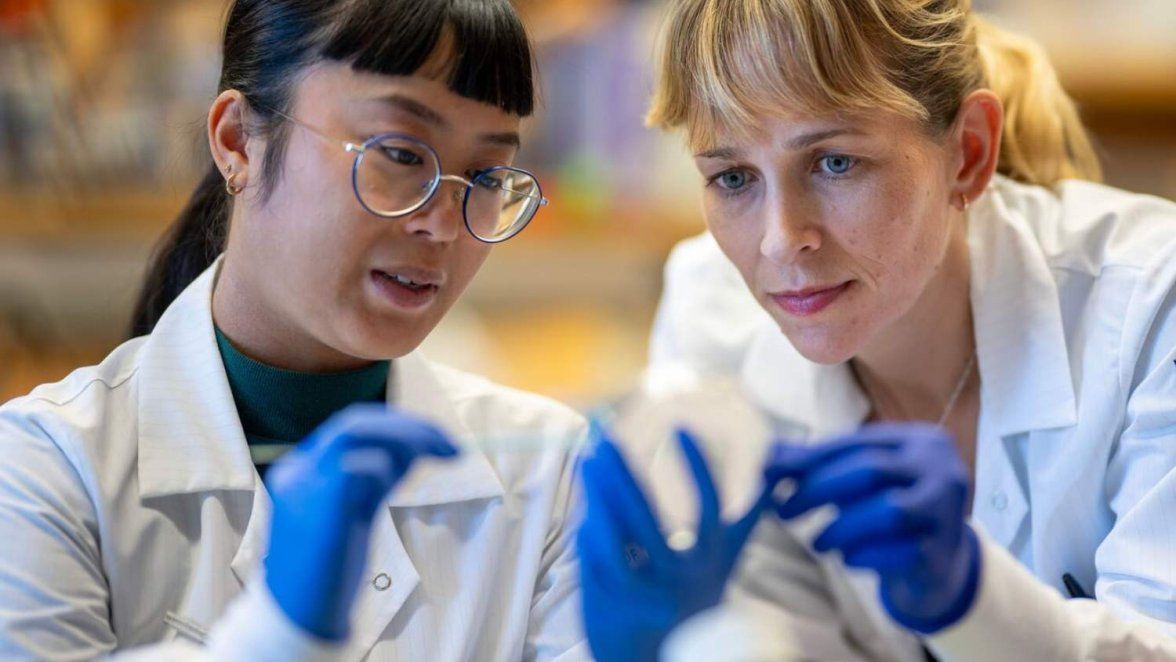 Two students look closely at specimens in laboratory.
