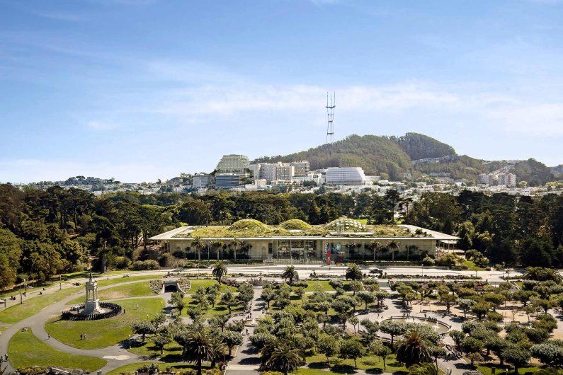 The new Parnassus Heights hospital can be seen on the hillside above Golden Gate Park.
