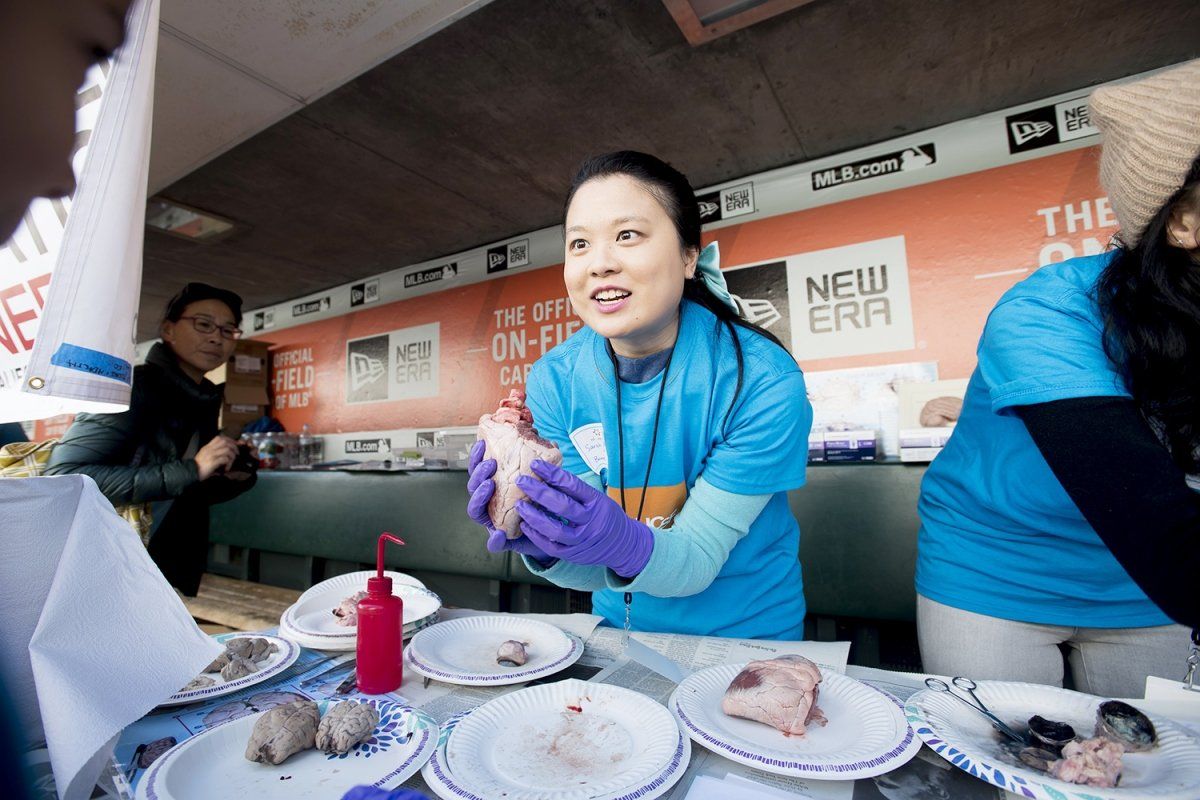 UCSF PhD student Sarah Anne Wong teaches children about organs during the Discovery Day event