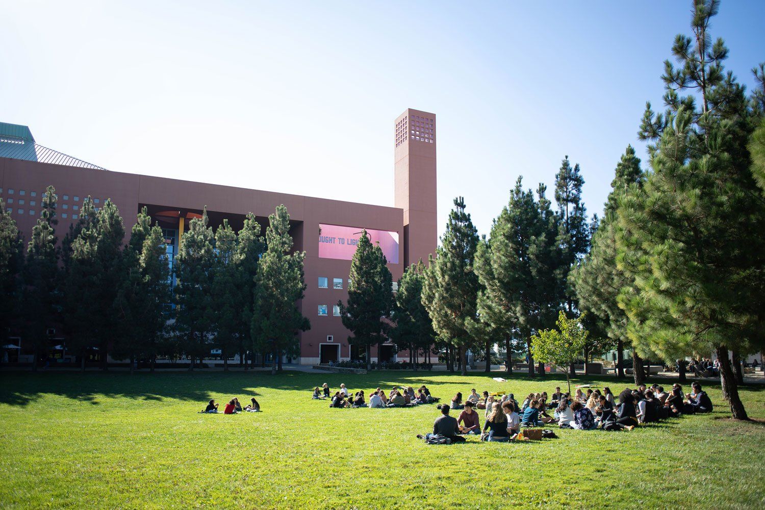 Students relaxing on lawn