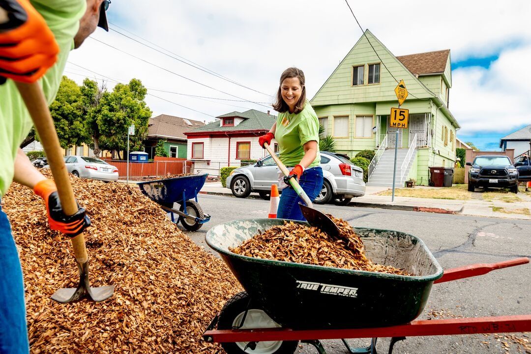 Volunteers shovel mulch into a wheelbarrow