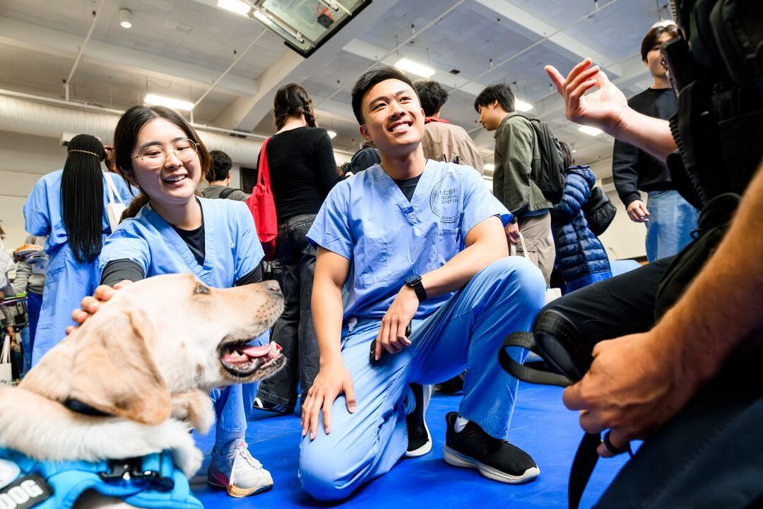 Two students in medical scrubs smile as they interact with the yellow labrador.