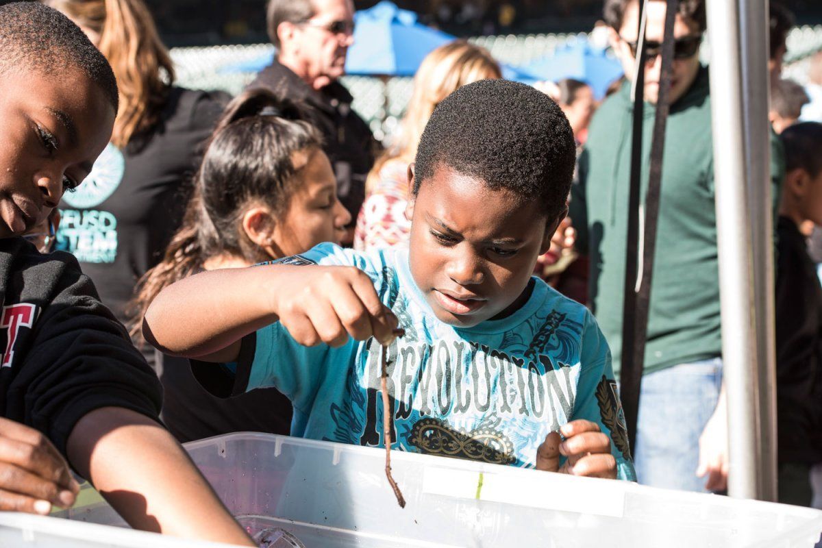 Child holding an earthworm
