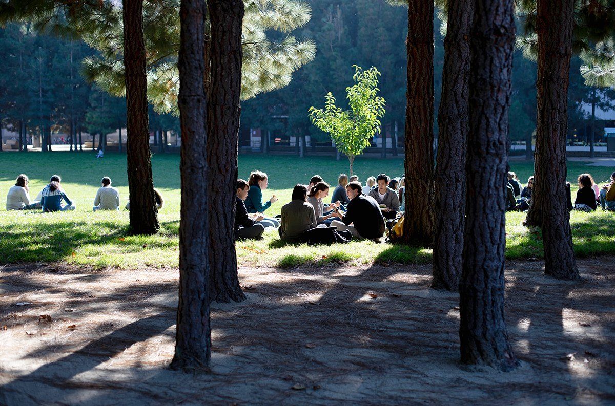 Graduate students and postdocs relax on the grass and enjoy the sunshine at Mission Bay