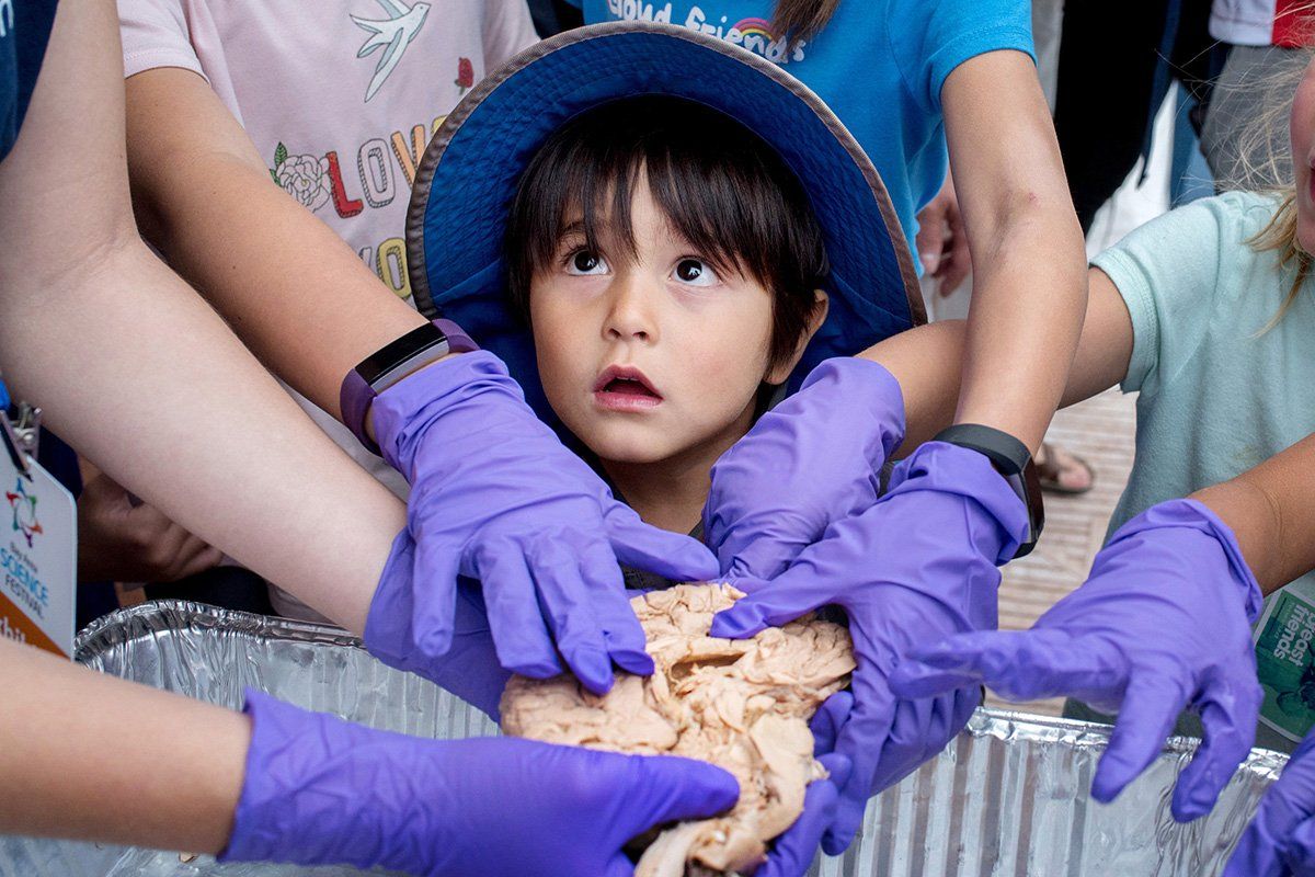 kids learn about and touch a human brain