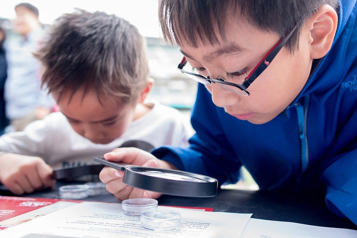 kids use magnifying glasses to look at small bugs