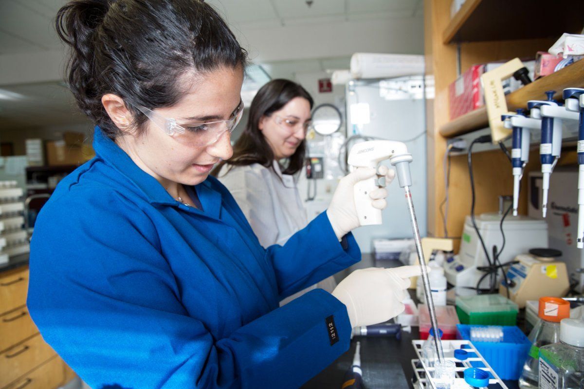 Postdoctoral scholar Charline Bacchus-Souffan and staff conduct research work in the lab