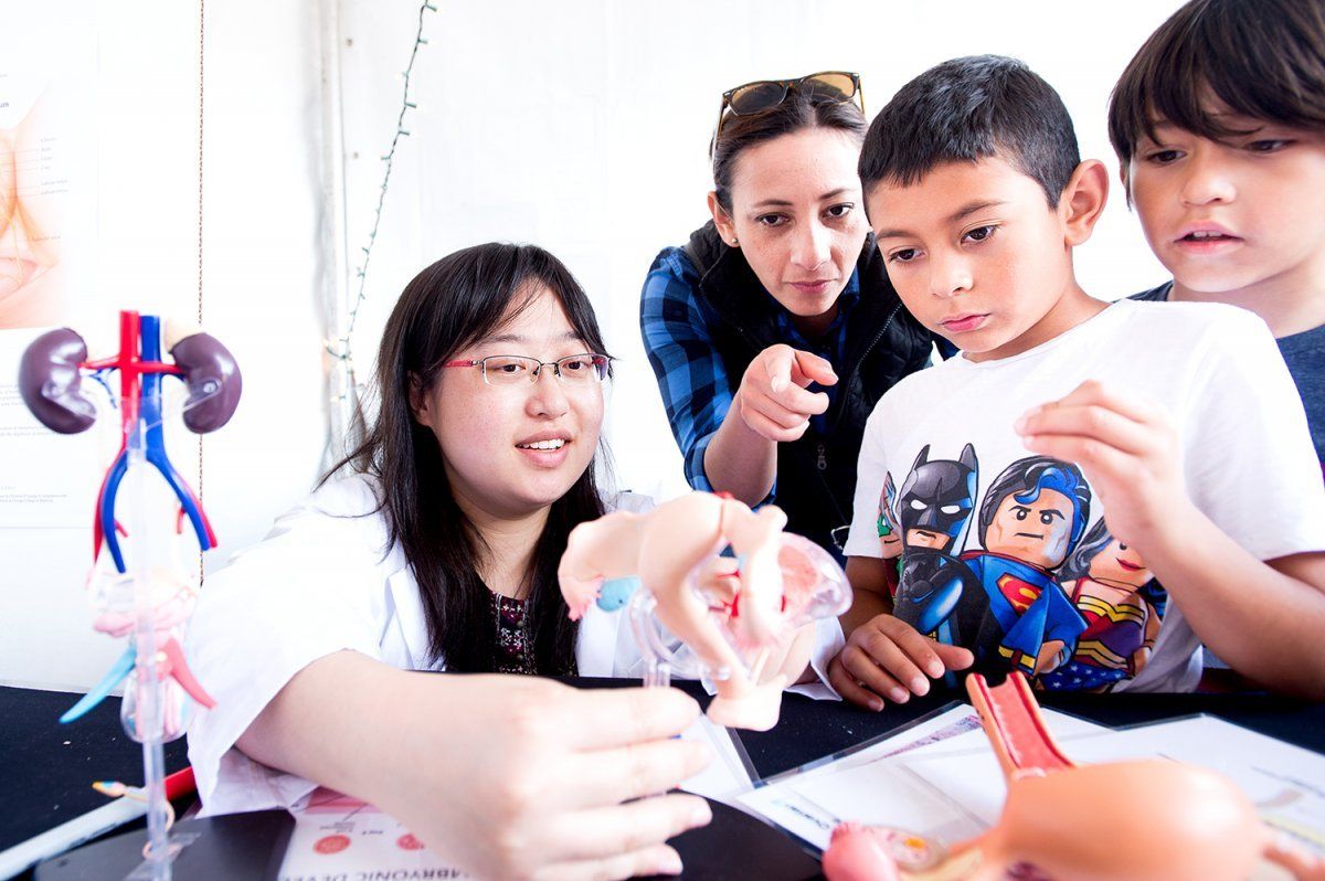 Ye Yang discusses reproductive anatomy