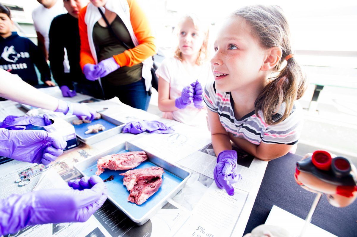 Kids learn about organs during the 6th annual Discovery Day at AT&T Park