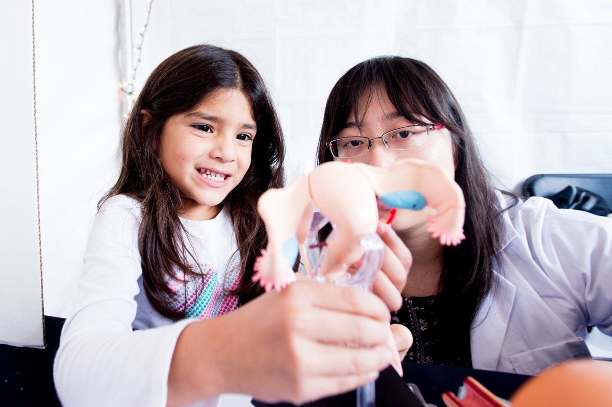 Rachel Gomez, 5, learns about reproductive anatomy