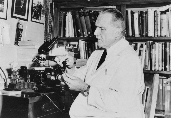 Karl Meyer working with microscope in 1920s