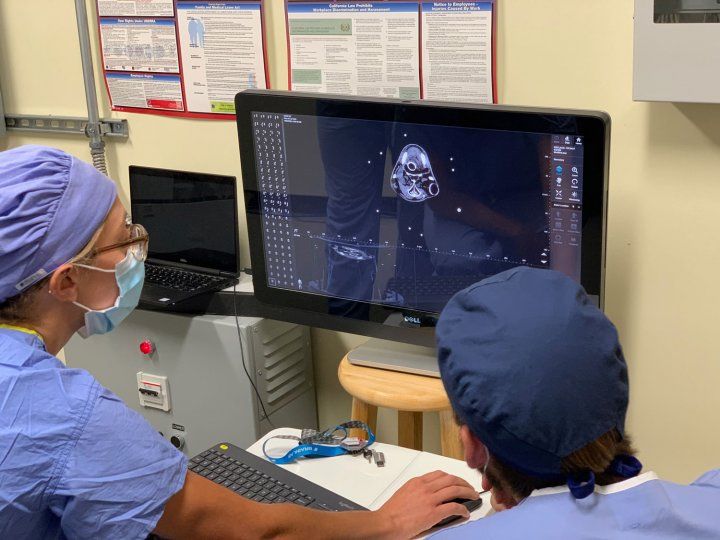Doctors looking at computer screen with sea lion brain scan