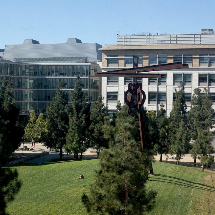 An overhead view across Koret Quad showing the white facade of Rock Hall beyond a grassy green