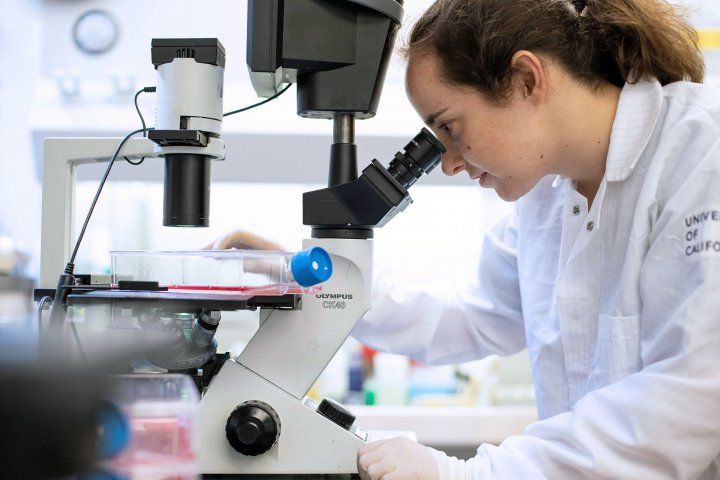 a female graduate student looks into a microscope