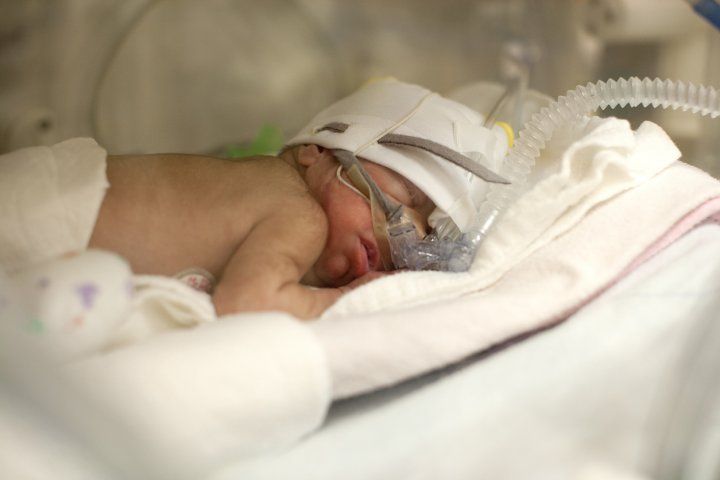 Premature baby in incubator 