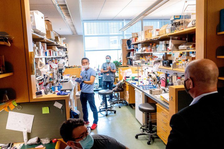 lab members applaud as David Julius walks into his lab