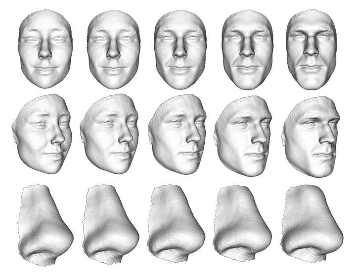 3D imaging of a subject in the center whose facial features have been transformed to be more masculine and feminine. 3D renderings on the left are of more feminine structures, and renderings to the right are masculine structures